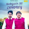 About Haryana Ke Chhorey Song